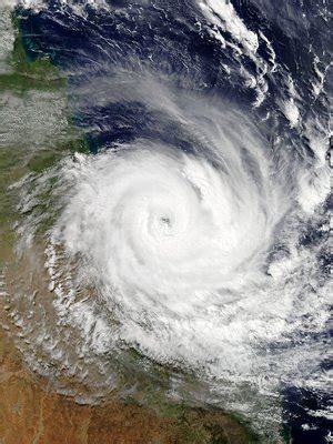 Cyclone recovery assistance for Mackay region businesses — Rebel Nation