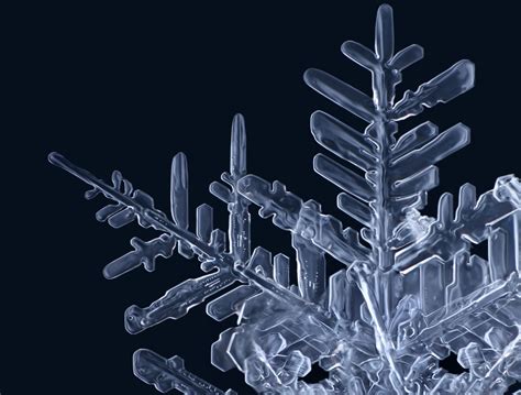 Snowflake | Snowflake photography, Snowflakes, Snowflakes real