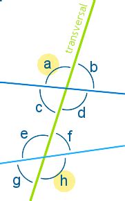 Alternate Exterior Angles