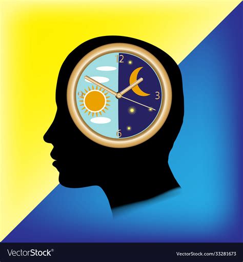 Circadian rhythm and sleep-wake cycle Royalty Free Vector