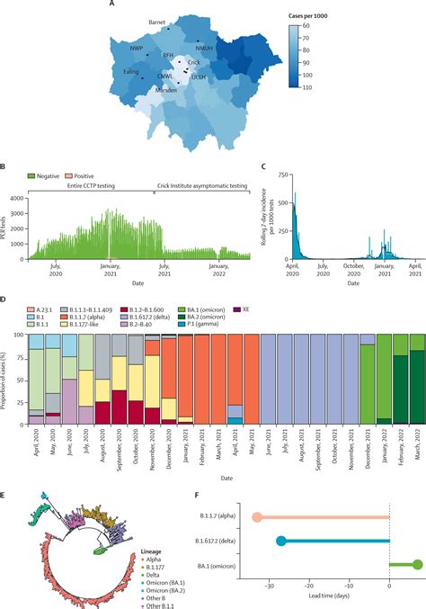 Asymptomatic testing key to pandemic preparedness, new study finds