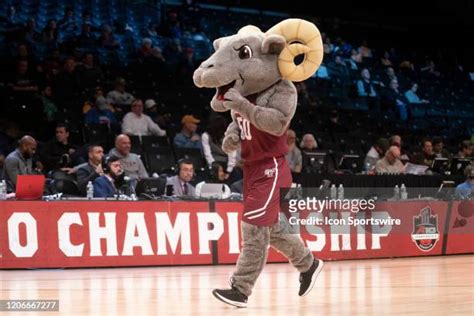 Fordham Mascot Photos and Premium High Res Pictures - Getty Images