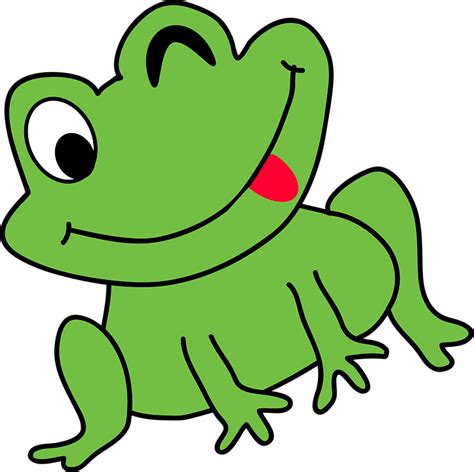 Gambar Katak Pohon Vektor Hewan Gratis Download Gambar Kartun Lucu di ...