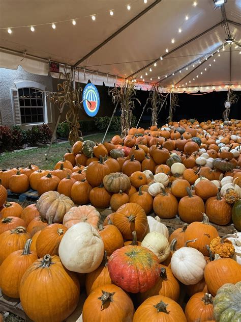 Annual Pumpkin Patch and Fall Festival - Watermelon Swim