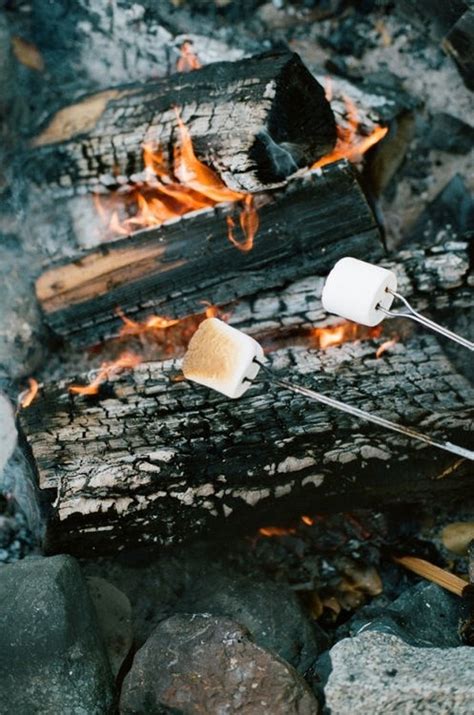 Roasted Marshmallows Pictures, Photos, and Images for Facebook, Tumblr ...