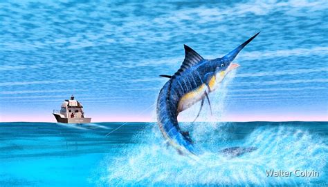 "Marlin Fishing" by Walter Colvin | Redbubble