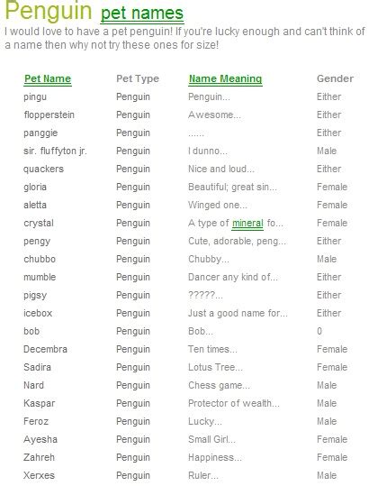 Penguin4evers: Pet Penguin Names