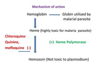 Primaquine Mechanism Of Action