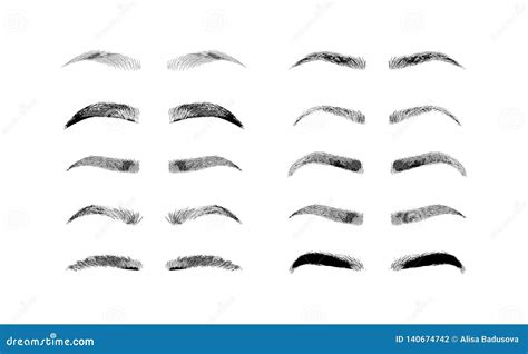 Eyebrow Shapes. Various Types of Eyebrows. Classic Type and Other ...