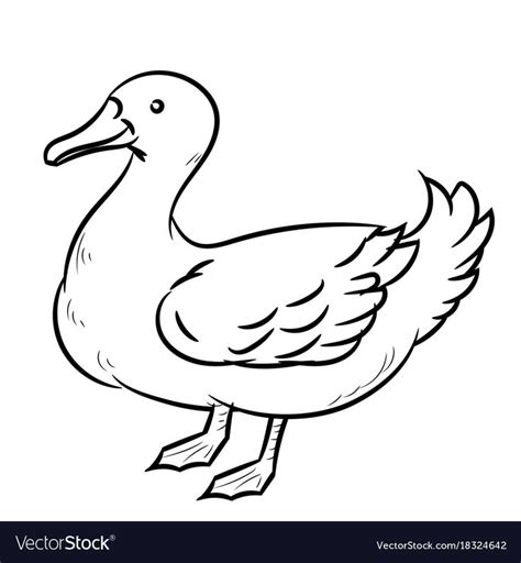 Hand drawn sketch of Duck isolated, Black and White Cartoon Vector ...