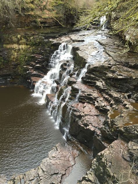 The Falls of Clyde, Lanark, Scotland | Places to visit, Lanark, Nature