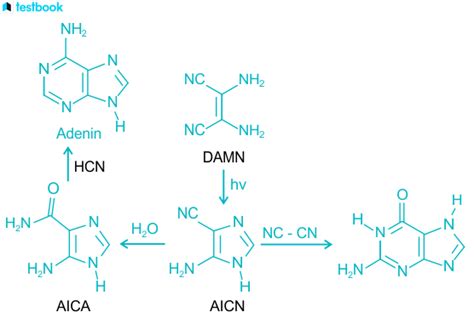 Hydrocyanic Acid Formula: Check Structure, Properties & Uses