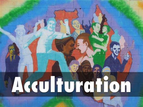 Acculturation by Gillian POCOE