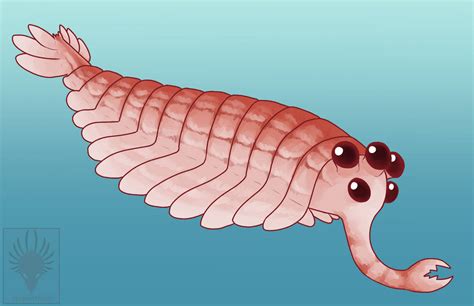 Opabinia by serpentariusart on DeviantArt