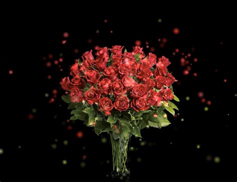 048814c2cc4d654841008f6e4e9c3ba8.gif 800×616 pixels in 2023 | Beautiful rose flowers, Beautiful ...