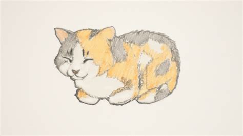 How to Draw a Cat: 4 Step-by-Step Tutorials