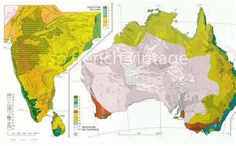 Geomorphology map of Australia and India; Plant distribution; Plant ...