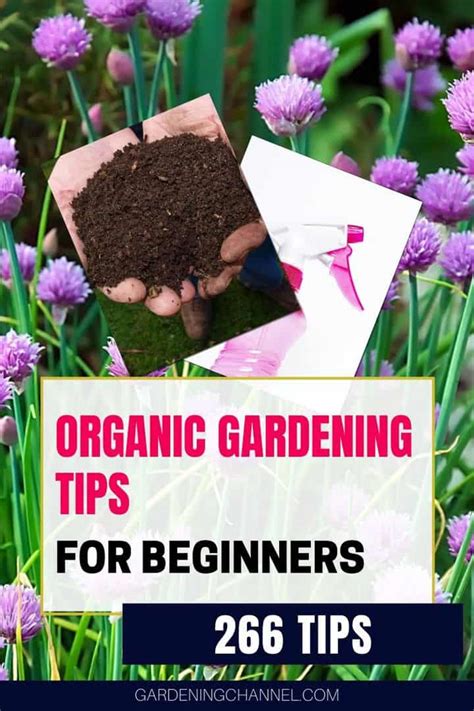 266 Organic Gardening Tips for Beginners - Gardening Channel