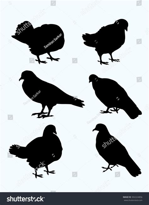 Pigeon Silhouette Set Stock Vector (Royalty Free) 302224856