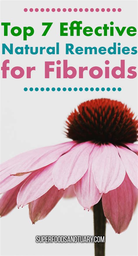 Top 7 Natural Remedies for Fibroids - Superfood Sanctuary