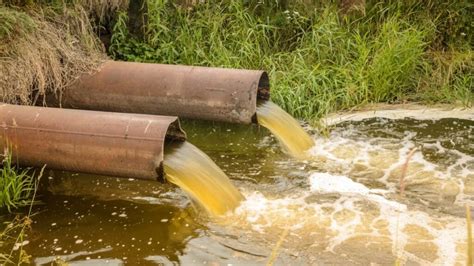 Gevolge van waterbesoedeling | Groen hernubare energie