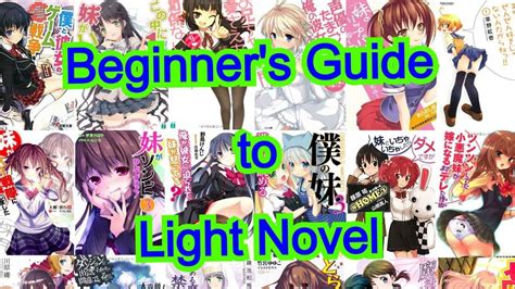 What Is Light Novel? Beginner's Guide — DragneelClub