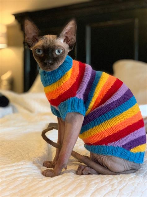 Clothing for cats Clothes for Sphynx Cat clothes sweater | Etsy in 2021 | Cat sweaters, Sphynx ...