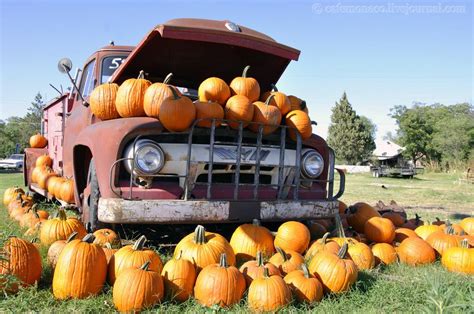 an old truck with pumpkins piled on the hood and in the bed is full of it