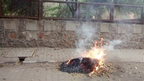 Petition · Municipal Corporation of Delhi: Garbage burning fumes affect your lungs, nervous ...