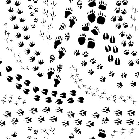 Mouse tracks Vectors & Illustrations for Free Download | Freepik