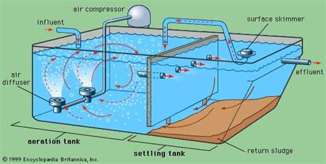 37 Sewage Treatment Plant Process Flow Diagram - Diagram Resource