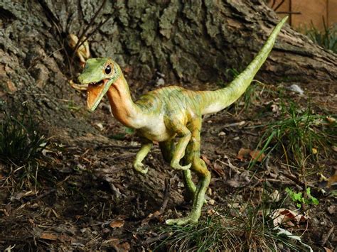 Compy Life-Size Outdoor Replica Dinosaur Model | Etsy