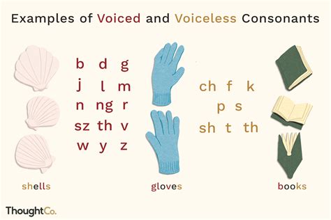 Voiced vs. Voiceless Consonants