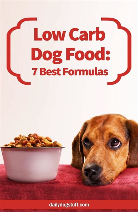 Low Carb Dog Food: 7 Best Formulas | Daily Dog Stuff | Dog food recipes ...