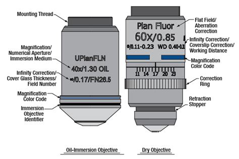 Microscope Objective, Tube, and Scan Lens Tutorials