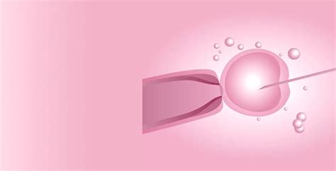 Egg Donation Process Step by Step Explained | Indira IVF