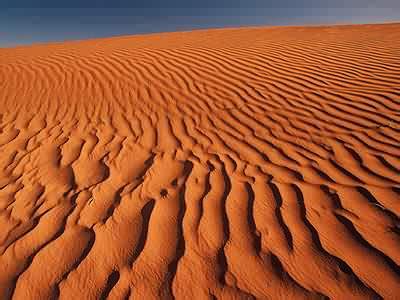 Sand dune Jigsaw Puzzle - JigZone.com