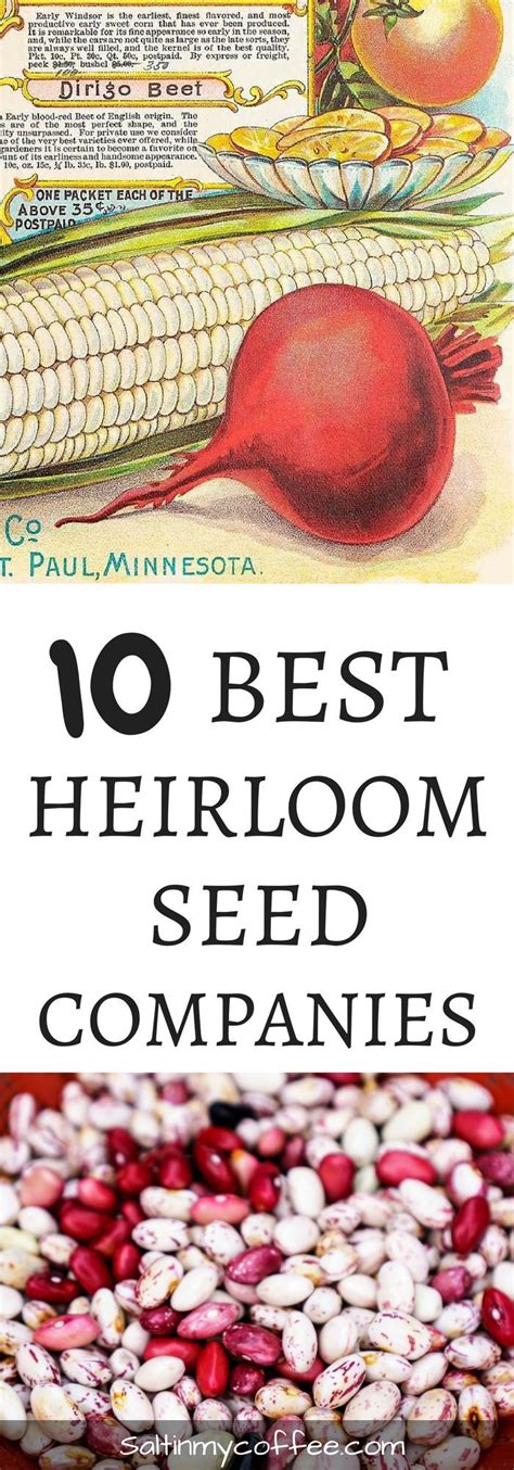 Top 10 Heirloom Seed Catalogs | Heirloom seeds catalog, Organic vegetable garden, Organic ...