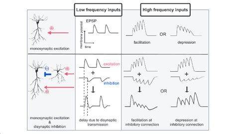 | Examples of differential signal transmission between low and high ...