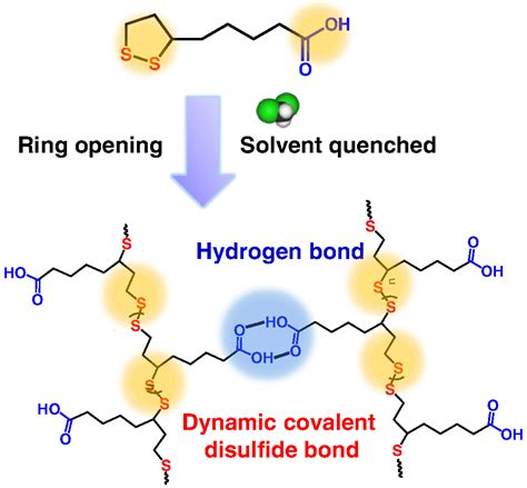 A Novel Dynamic Polymer Synthesis via Chlorinated Solvent Quenched Depolymerization | CCS Chemistry