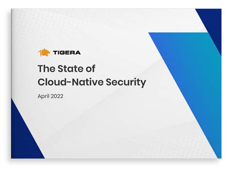 Market Report: The State of Cloud-Native Security 2022 | Tigera - Creator of Calico