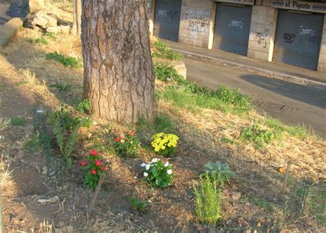 Guerrilla Gardening | Andrea Guevara