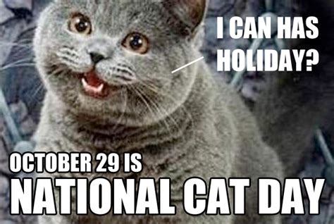 The Ultimate List of Cat Lists for National Cat Day! | National cat day ...