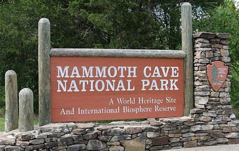 Best Mammoth Cave Tour for Families: Domes and Dripstones Tour in 2020 | Mammoth cave tours ...