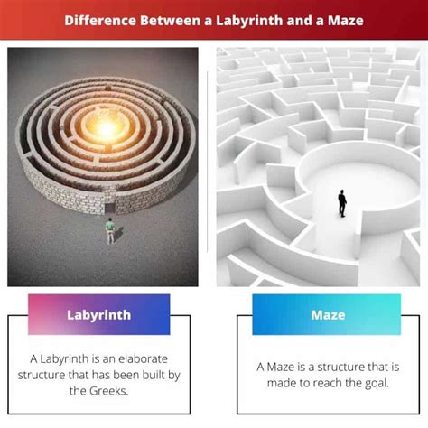 a Labyrinth vs a Maze: Difference and Comparison