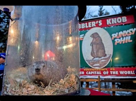 the story of ground hog day from : Punxsutawney, Pennsylvania, U.S ...