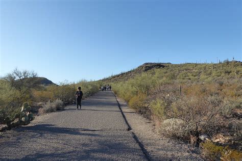 Hike | Tumamoc Hill | Tucson Mountain Range — Arizona Hikers Guide