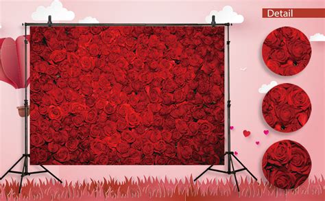 Amazon.com : Funnytree Valentine's Day Red Rose Floral Wall Photography Backdrop Wedding Bridal ...