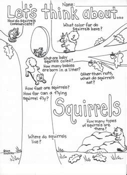 Squirrel Appreciation Day Activities by NoodlzArt | TPT