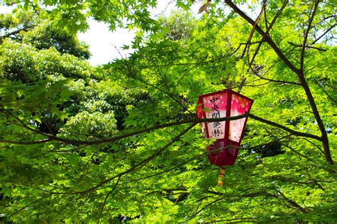 Lantern | Kochi, Japan | otsukarekun | Flickr